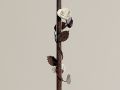 art 21955;art 7464 - 