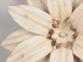 art. 18754 - 