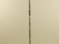 art. 1323-P Linea Boccaccio - 